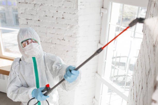  Fairbanks Ranch, CA Mold Removal Pros