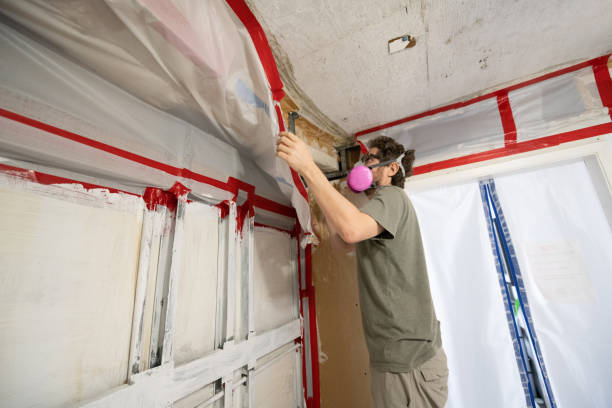 Mold Documentation for Insurance Claims in Fairbanks Ranch, CA