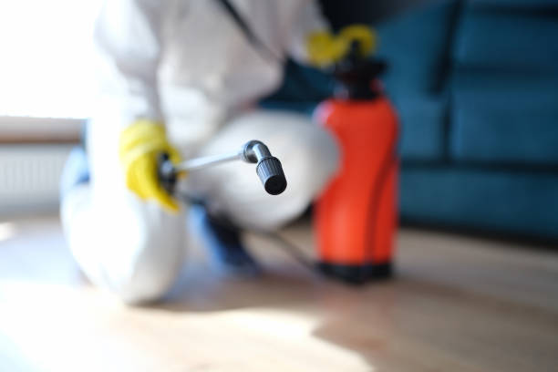 Best Mold Documentation for Insurance Claims  in Fairbanks Ranch, CA