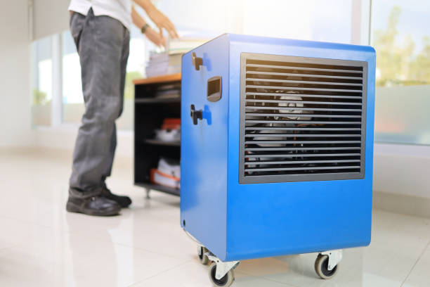 Best Airborne Mold Testing  in Fairbanks Ranch, CA
