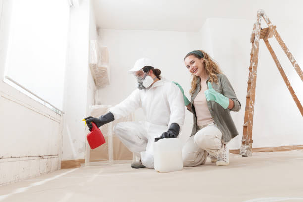 Best Basement Mold Removal  in Fairbanks Ranch, CA